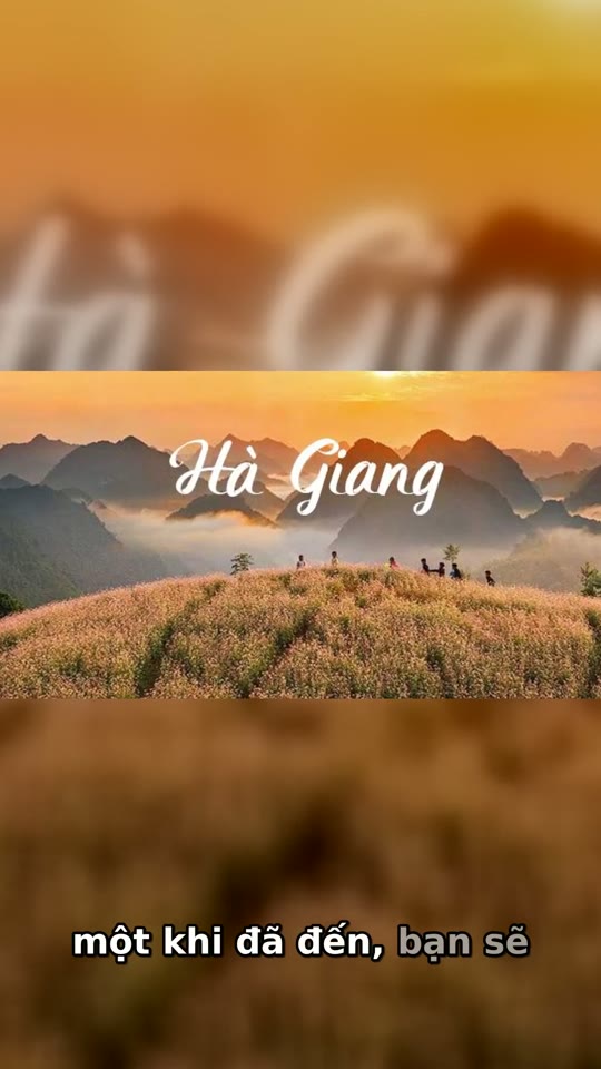 Ảnh xem trước Documentary